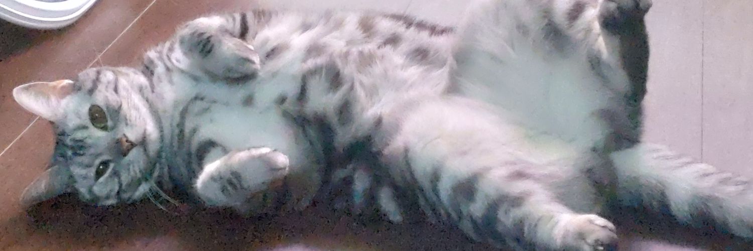 ochoco_cat's profile banner image
