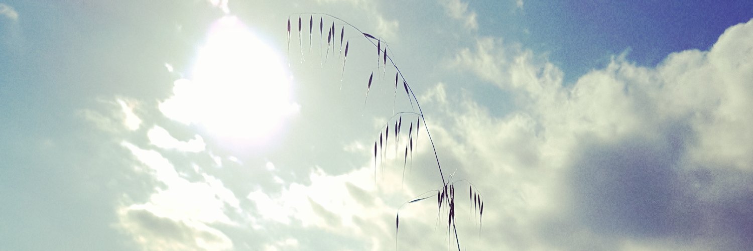 SegaBlock's profile banner image