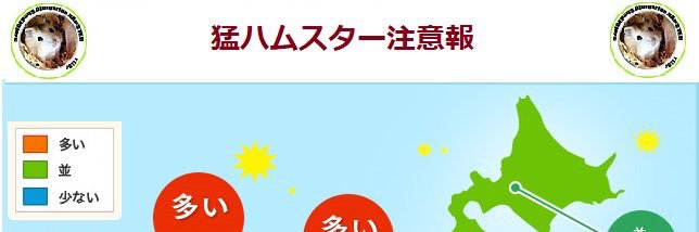 猛 ハ ム ス タ ー 注 意 🐹 🌻 banner