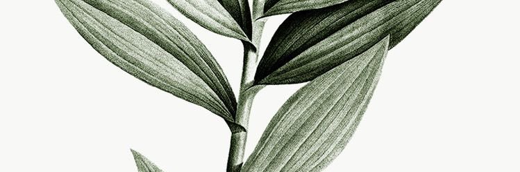 itsfique_'s profile banner image