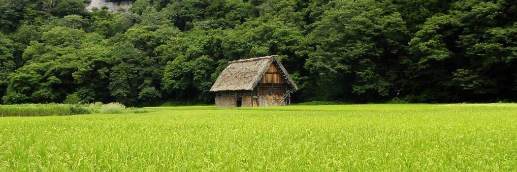 Alejandro Datas banner