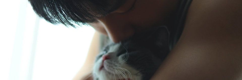 THA_CC's profile banner image
