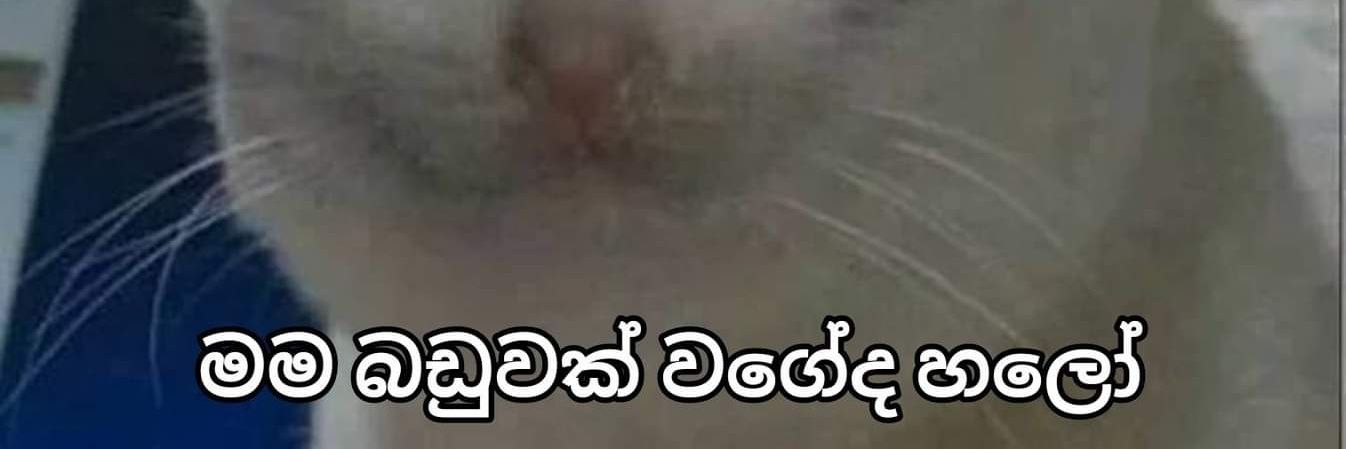 Boo 🇱🇰🇱🇰🏳️‍🌈🏳️‍🌈 banner