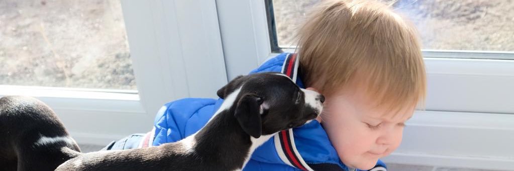 emmaoakesy's profile banner image