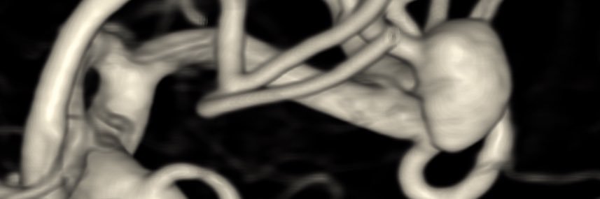Evan Luther's banner