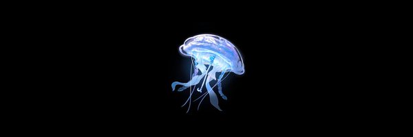 mieuphorics Profile Banner