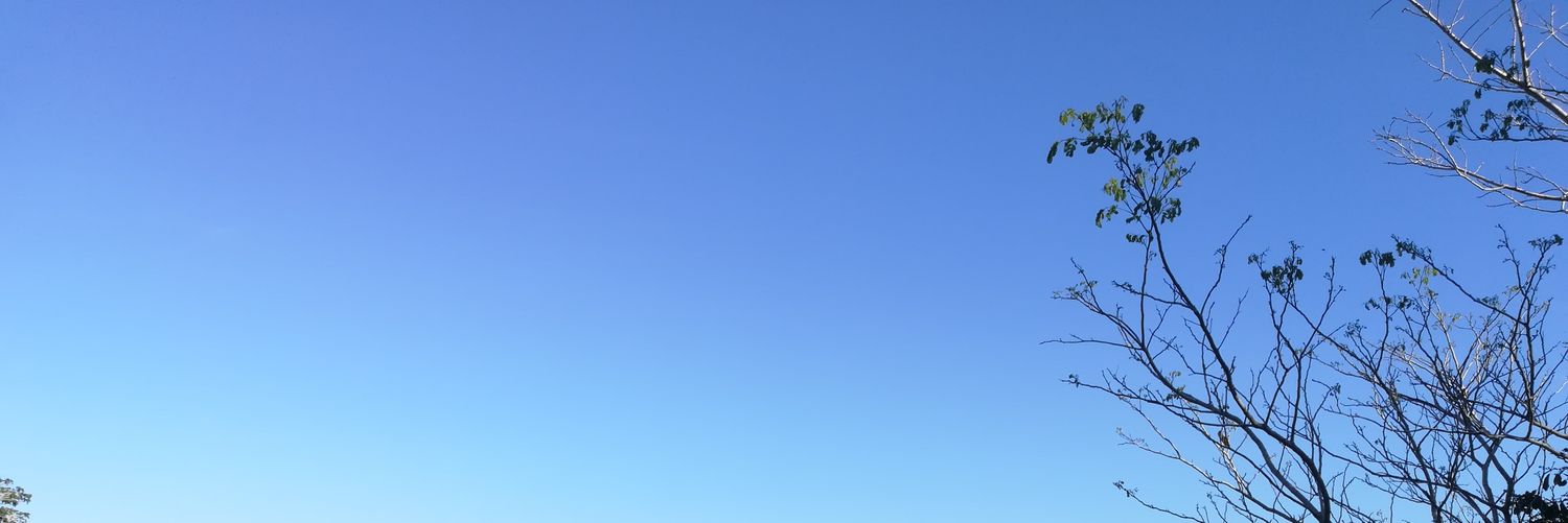 PVR banner