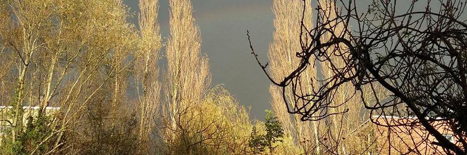 WoutGelderloos's profile banner image