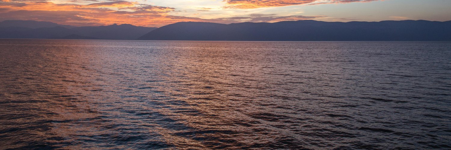 FishBuysCrypto's profile banner image