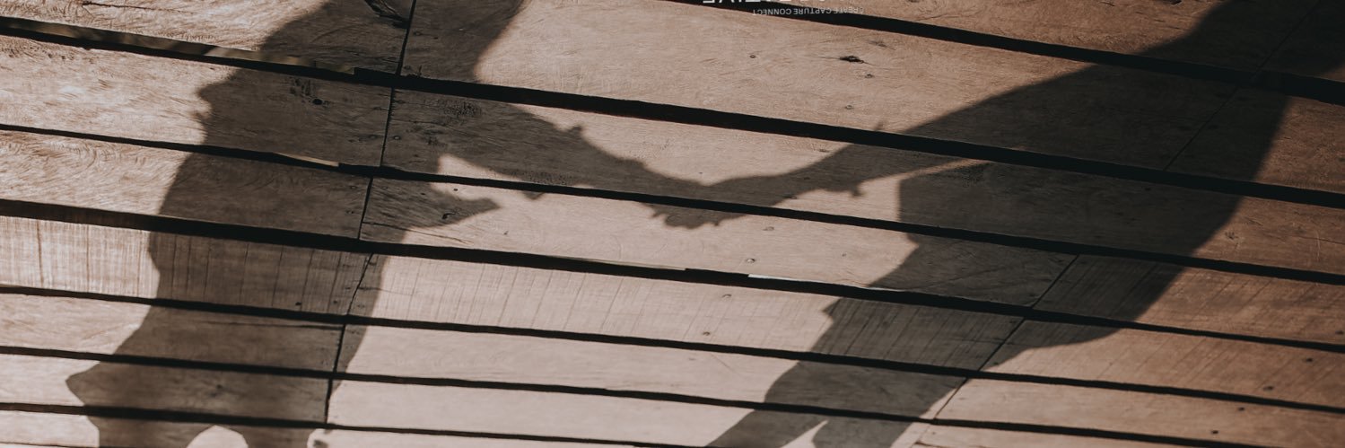 stelamonic's profile banner image