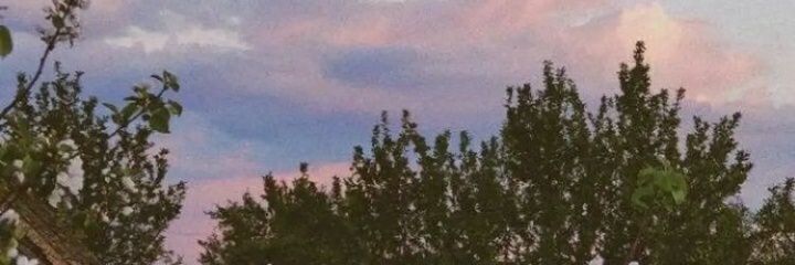 mionerrr's profile banner image