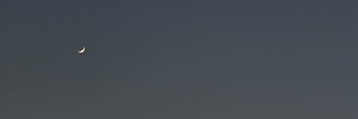 Zeynep banner