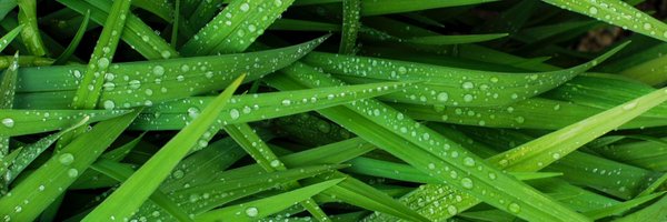 GrovTech Profile Banner