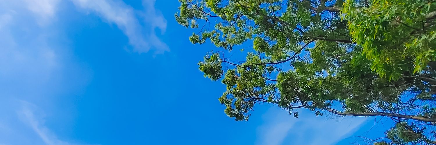 Laskarakbar14's profile banner image