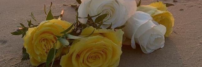 Vivia_sofie's profile banner image