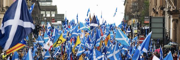 Scottyboy_for_indi banner