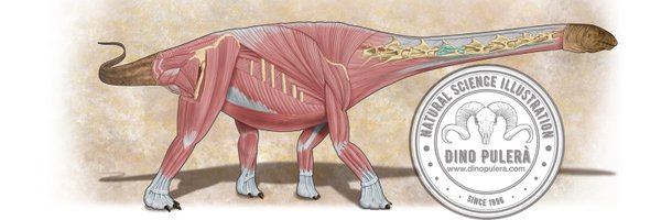 dpulera Profile Banner