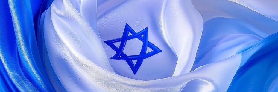 Diana M Teresa🇳🇿🇮🇱🟦✡️✝️ banner