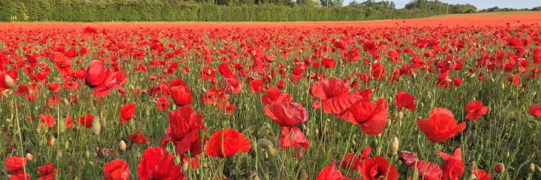 Norfolk Record Society banner