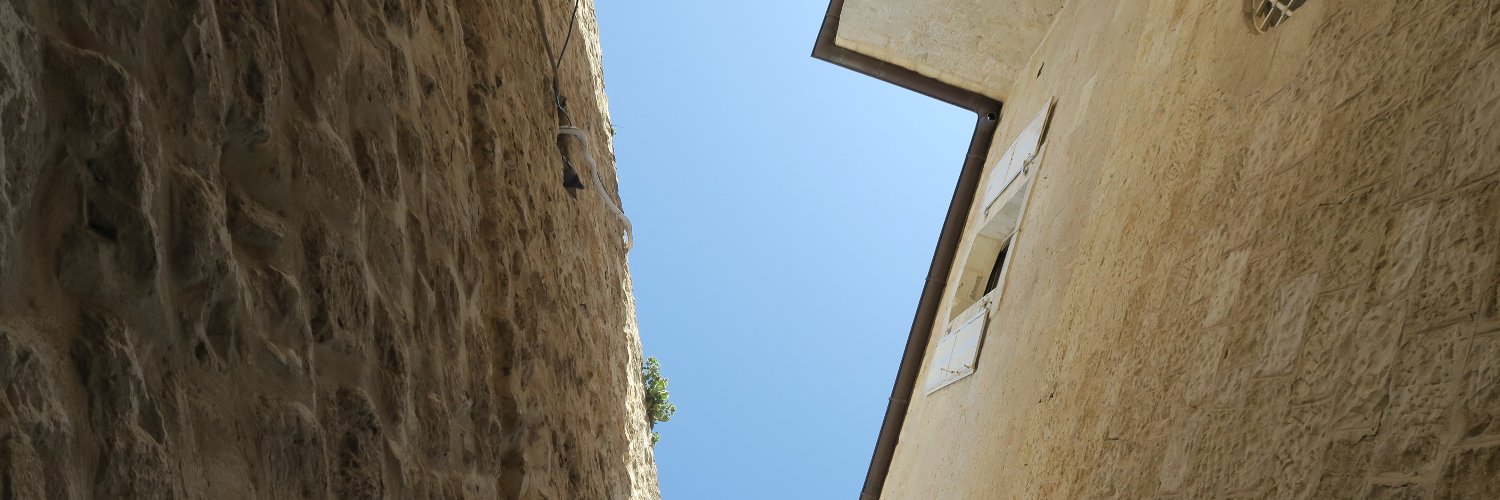 dibland's profile banner image