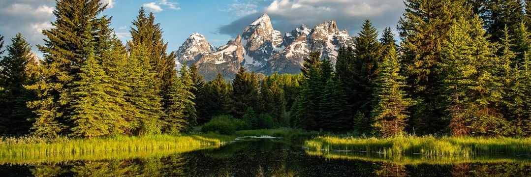 Brandon Hammons banner