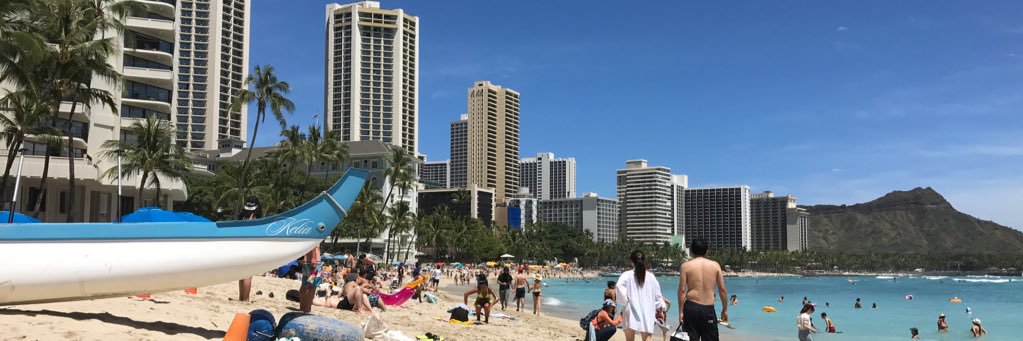 yo.travel.world banner