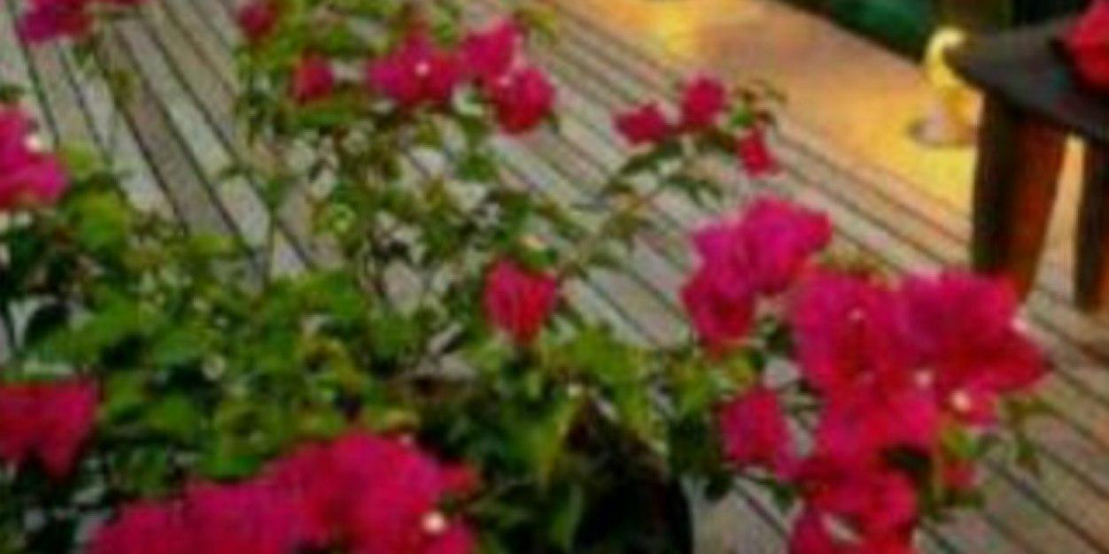 fffofo555's profile banner image