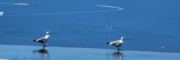 RealBrams's profile banner image