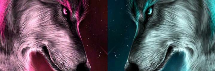 eupaulomello's profile banner image