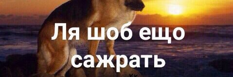 Adely banner