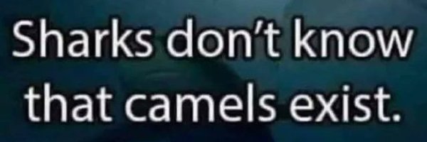 fastesttachyon Profile Banner