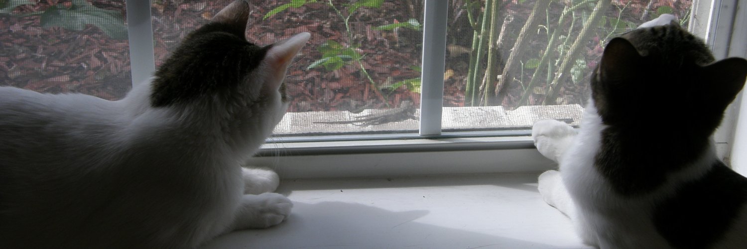 Purr_Bot banner