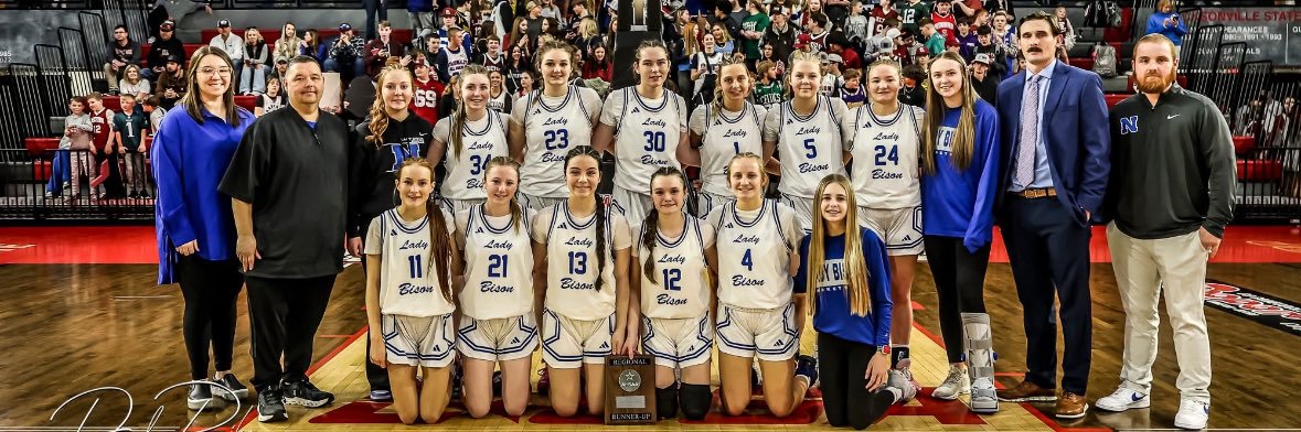 North Sand Mountain Lady Bison Basketball banner