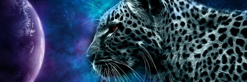 Memmewkitty's profile banner image