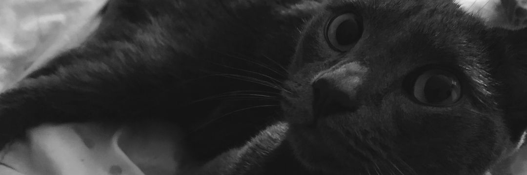 Milly2582's profile banner image