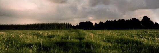 Mr Heathcliff banner