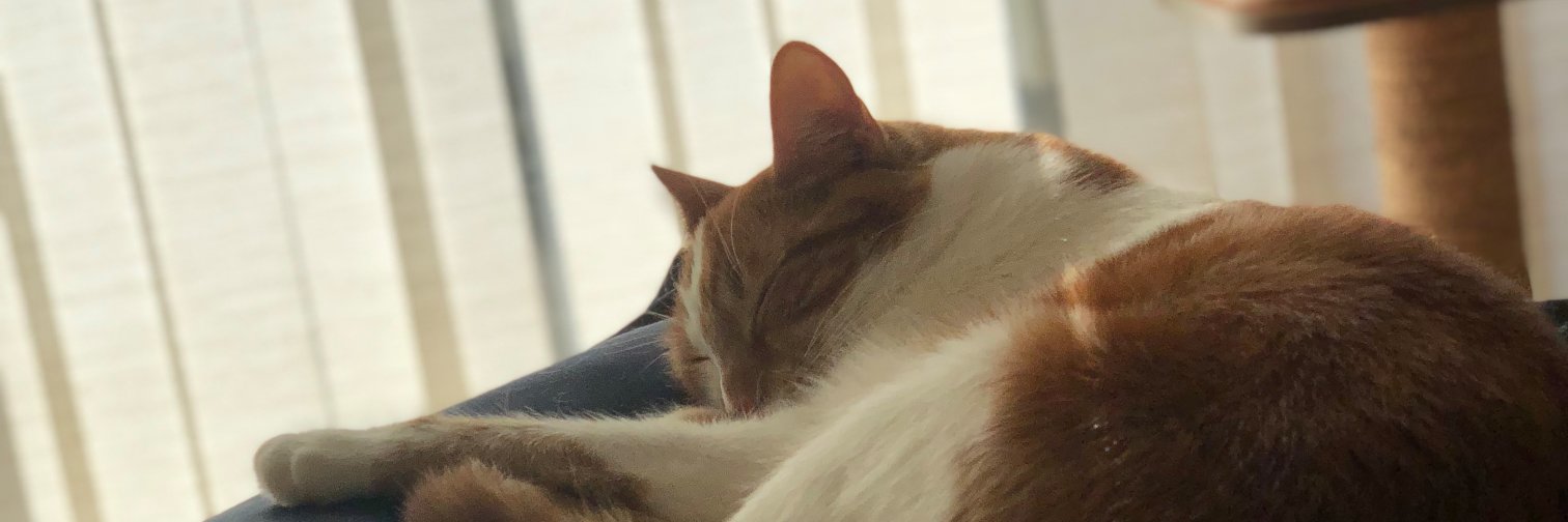 aaronmix's profile banner image
