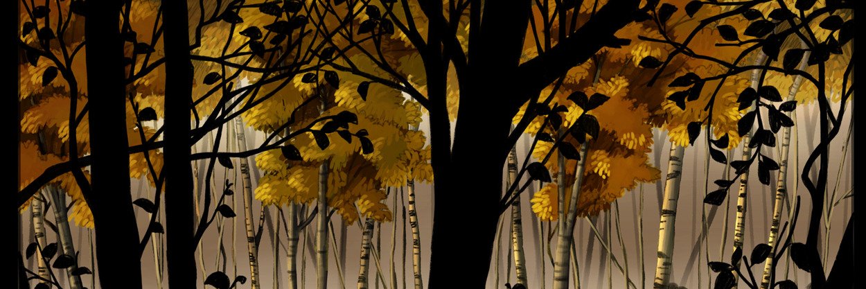 prismiic's profile banner image