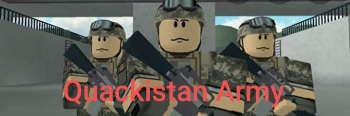 Official Roblox France banner