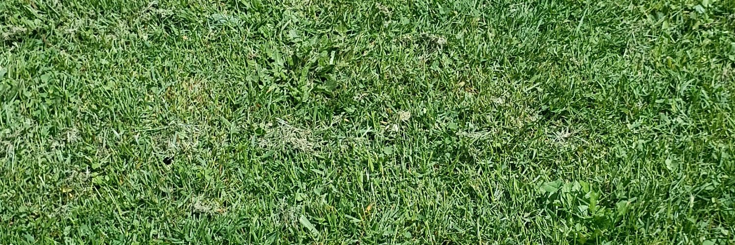 Noah Fence 🤷‍♂️ banner