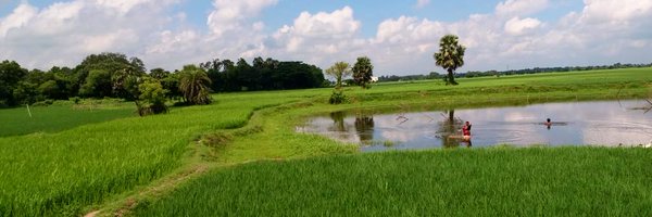 S_Pal88 Profile Banner