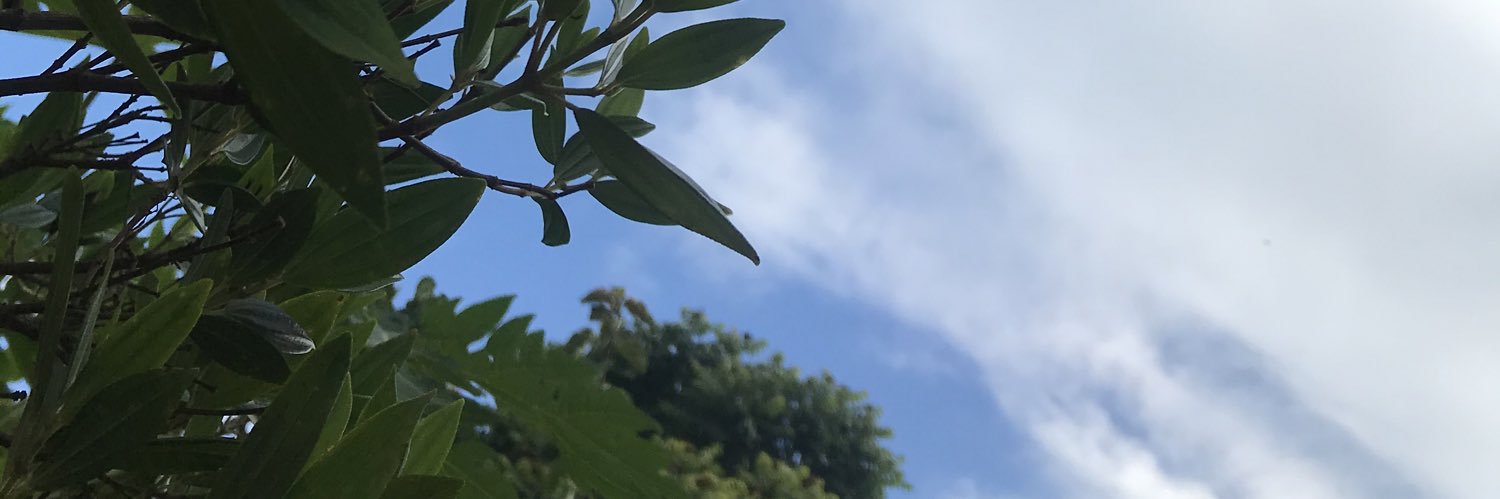 juucarvalhosg's profile banner image