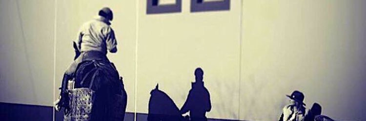 candel_dl's profile banner image