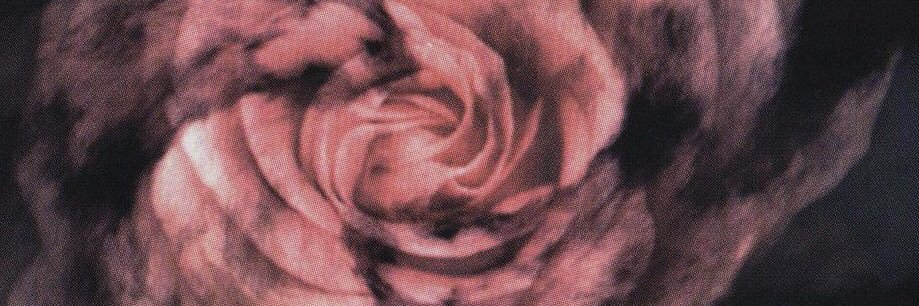sleepybaths's profile banner image