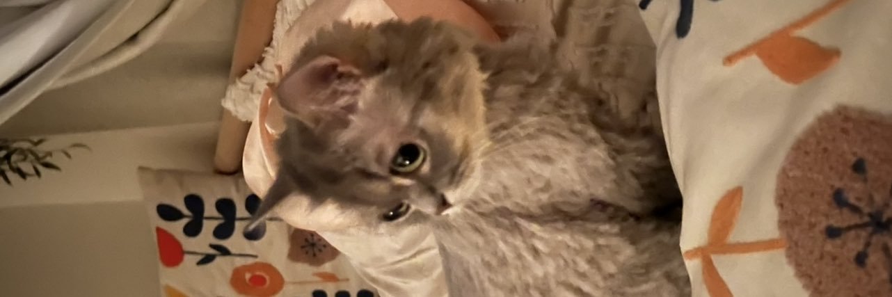 jaywhalee's profile banner image