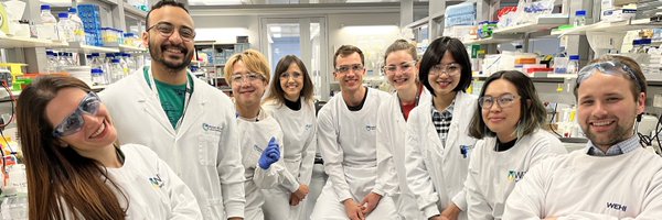 FelthamLab Profile Banner