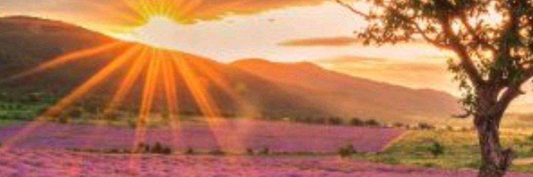 Yortune's profile banner image