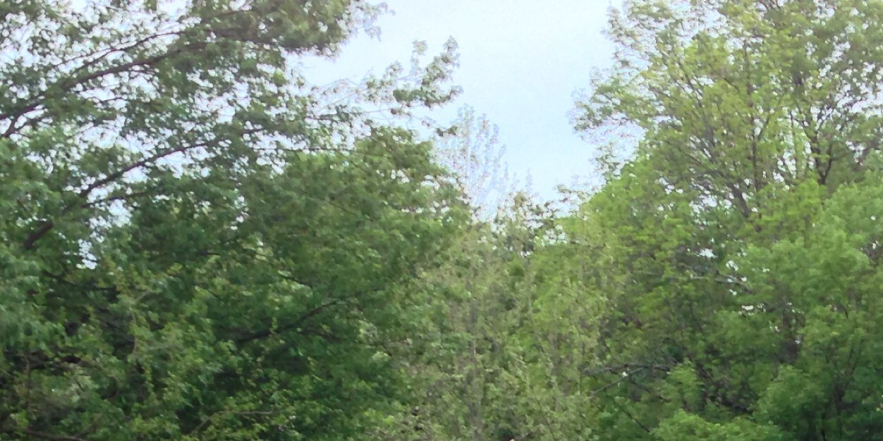 jpobedinsky's profile banner image