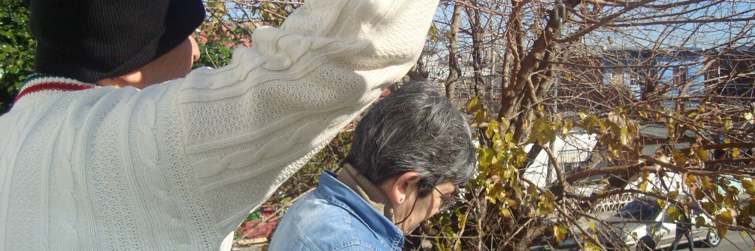 arturashit's profile banner image