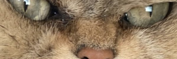 I_JUST_TKR Profile Banner